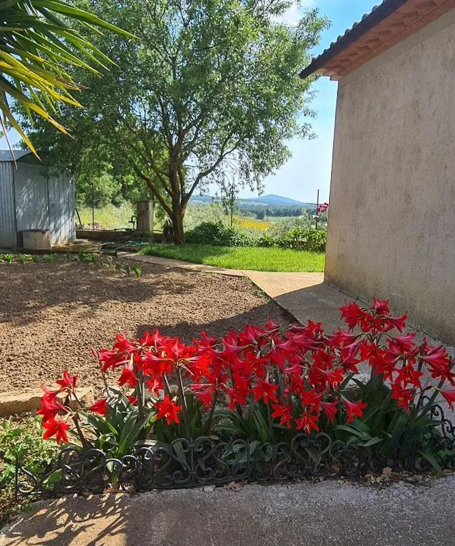 Villa Casa Carpineta Manciano Casa vacanze